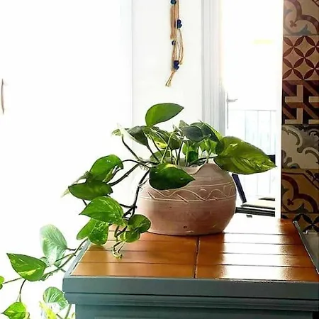 Апартаменты Ammoudara Apartment's Kalymnos Town