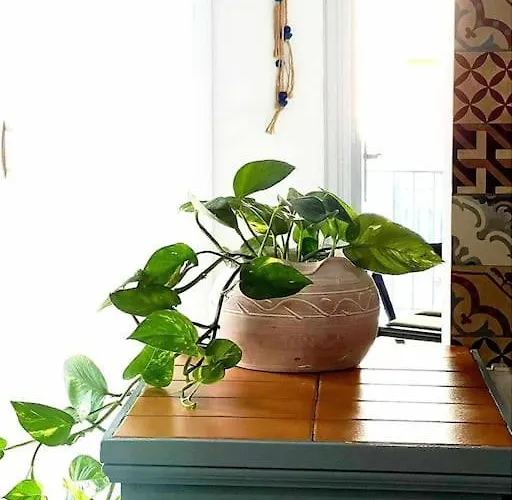 شقة Ammoudara Apartment's Kálymnos